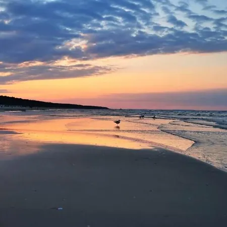 Appartamento Wellenreiter Usedom 200 M Zum Mit Balkon Parkplatz Wlan