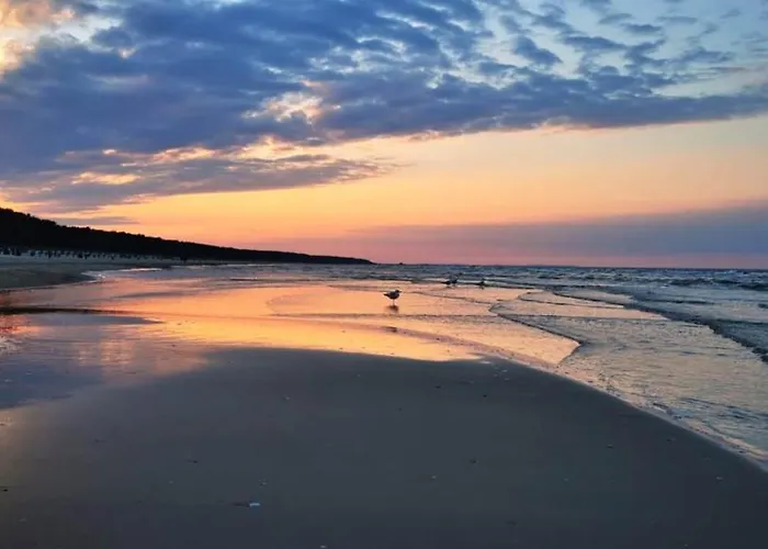 Apartamento Ferienwohnung Wellenreiter 200 M Zum Strand Fewo Strandnah Mit Balkon Parkplatz Wlan